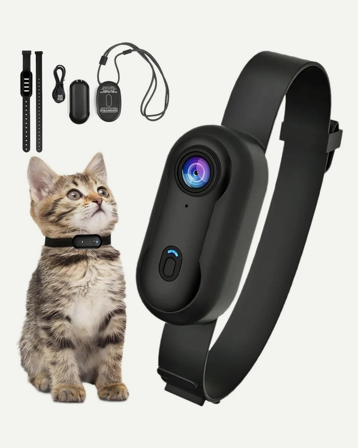 Thumb Cam, on a cat collar